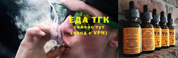 мяу мяу мука Абаза