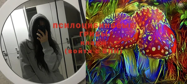 мяу мяу мука Абаза
