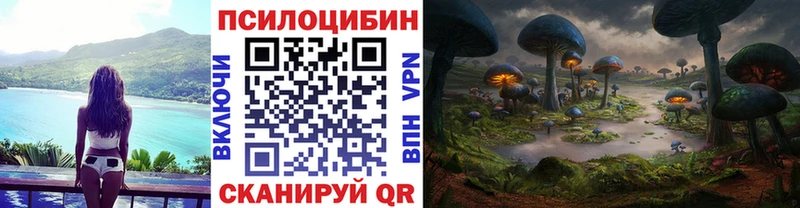shop как зайти  Вилючинск  Галлюциногенные грибы Psilocybe  купить  